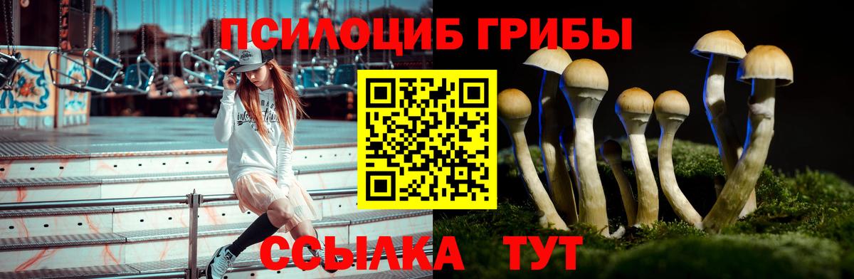 Галлюциногенные грибы Psilocybine cubensis  Вход с VPN  Наро-Фоминск 